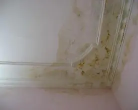 Hướng dẫn sửa chữa trần thạch cao từ A-Z: Nguyên nhân & Giải pháp (2026)