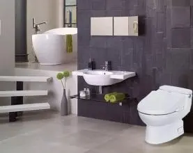 Thiết bị vệ sinh nên dùng loại nào bền đẹp? Kinh nghiệm xương máu cho chủ nhà