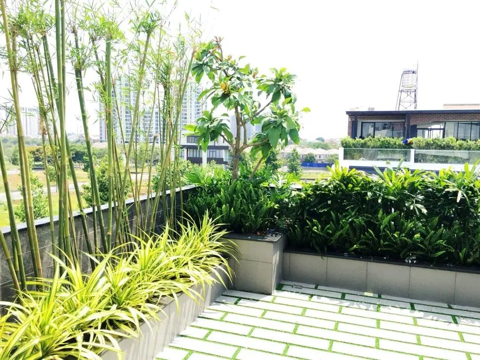 Giải ph&aacute;p trồng c&acirc;y tr&ecirc;n ban c&ocirc;ng, s&acirc;n thượng