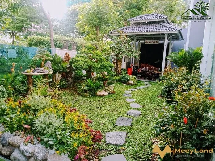 T&iacute;nh chuyển tiếp tự nhi&ecirc;n