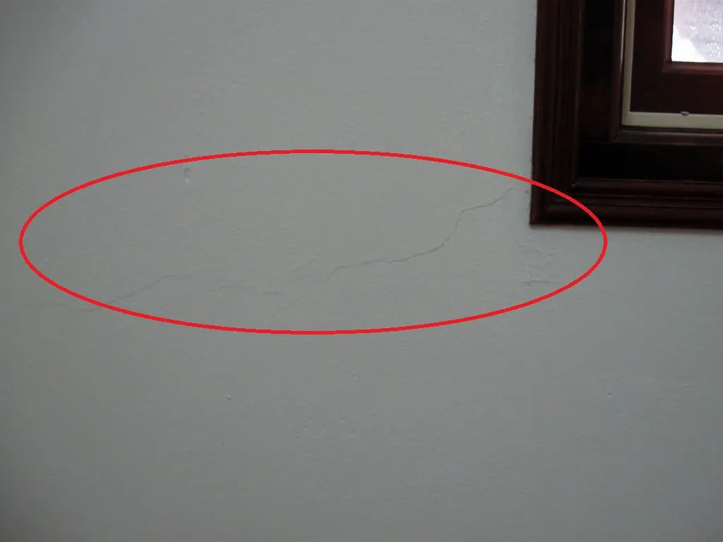 Vết nứt ch&acirc;n chim