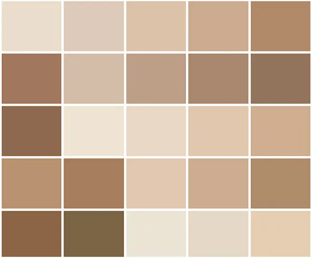 Bảng m&agrave;u sơn đất nung v&agrave; cam ch&aacute;y